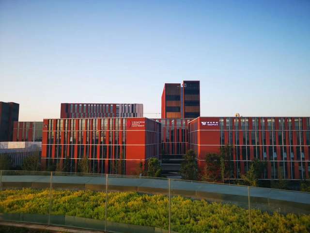 普陀区电线厂家